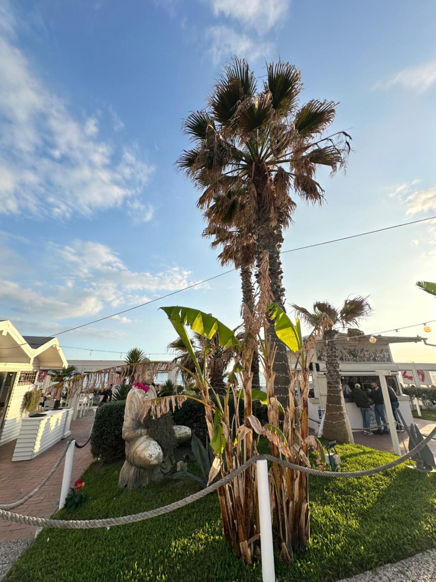 Penthouse Salus Sea View Terrace Apartment Lido di Ostia Luaran gambar